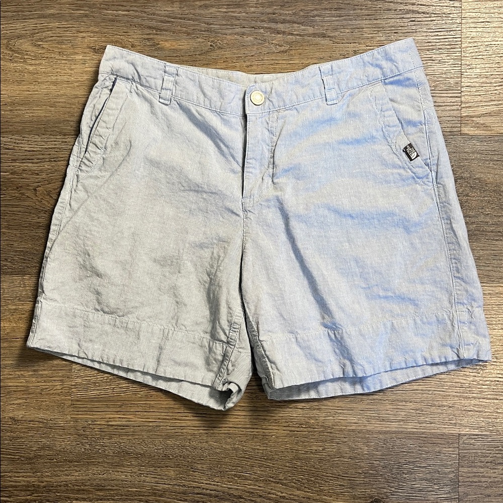 The North Face Women’s Blue Striped Casual Shorts Size 8
